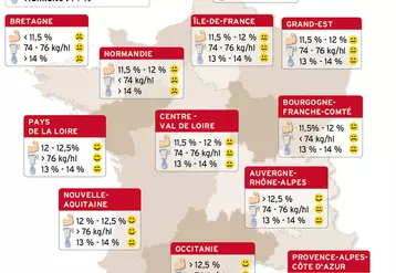 Les faibles poids spécifiques sont le principal point faible de la récolte 2021 de blé tendre en France. La teneur en protéines est en revanche satisfaisante.