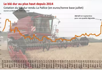 Le prix du blé dur français a répliqué la forte hausse enregistrée en Amérique du Nord au cours de l'été pour dépasser 400 €/t.