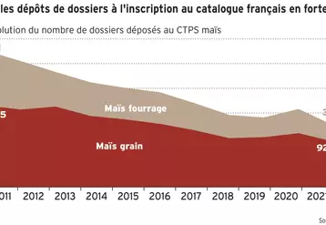 Le nombre de dossiers déposé à l'inscription en France en maïs chute depuis plus de dix ans tandis que l’utilisation par les agriculteurs de variétés issues d’autres catalogues européens augmente.