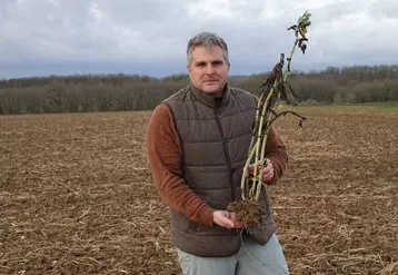 Frédéric Rémy, chef de culture à la ferme de Saint-Lubin, Val d'Oise."Le couvert composé de féverole, notamment a produit 9 t/ha de matière sèche le 28 octobre dernier. Il a été détruit en novembre."