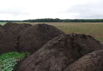 Les composts et les boues apportent une quantité importante de matière organique pour l'amendement du sol.