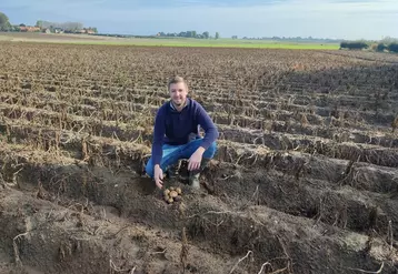 Benjamin Janssen est agriculteur dans le Nord où il cultive 110 hectares de grandes cultures dont plus de la moitié en cultures de printemps.