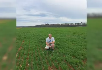 Romary Guilaume, polyculteur éleveur en Haute-Marne implante son blé en semis direct dans ses terres à faible potentiel.