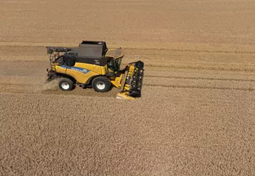 Moisson dans l'Indre près d'Issoudun le 7 juillet 2022. Récolte de blé tendre particulièrement précoce, avec du blé Cesario.