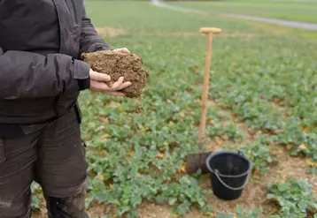 agriculteur avec un échantillon de sol dans un champ