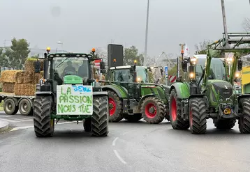 Mobilisation agricole dans le Gers avec un convoi de tracteurs en janvier 2023