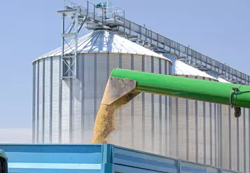 Céréales versées dans une benne avec des silos en arrière plan