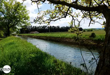 Le canal de Saint-Martory, qui longe la Garonne de Saint-Martory à Toulouse, alimente déjà de nombreux cours d’eau et fossés et est utilisé l’été pour ...