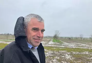 Régis Négrier, agriculteur en Charente-Maritime, dans une parcelle en agroforesterie. 