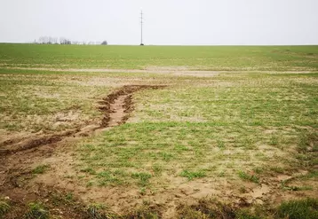 Parcelle de blé tendre touchée par l'érosion et coulées de boues dans la Somme début février 2024