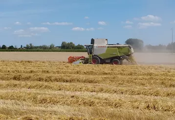 Moissonneuse batteuse dans un champ de blé tendre en Charente en juillet 2024