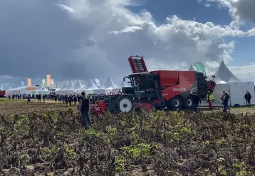 Arracheuse de pomme de terre au salon Potato Europe à Villers St Christophe