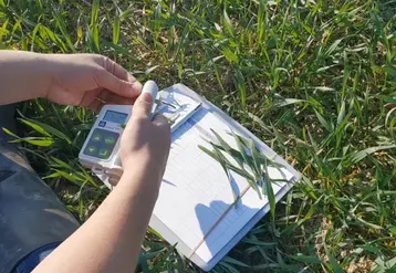 <em class="placeholder">Pince N-tester mesurant sur les feuilles les besoins du blé en azote.</em>
