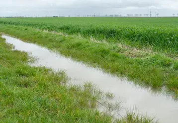 <em class="placeholder">Bord de champ inondé après un excès de pluie en bordure d&#039;un champ de céréales. Avril 2024 dans le nord de l&#039;Eure-et-Loir</em>