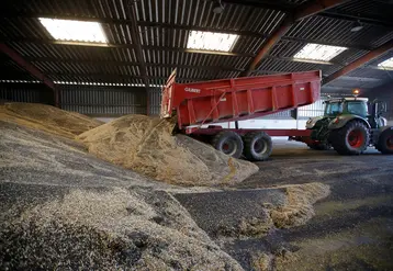 <em class="placeholder">Moisson du Colza dans les plaines cerealieres de la Marne. Agriculteur moissonnant sa parcelle de Colza avec une moissonneuse bateuse Claas 740 Lexion.  Livraison du Colza a ...</em>