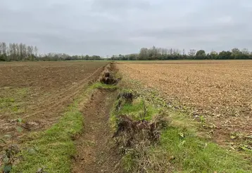 <em class="placeholder">Un fossé non entretenu ne joue pas son rôle d&#039;évacuation rapide de l&#039;eau quand une inondation survient.</em>
