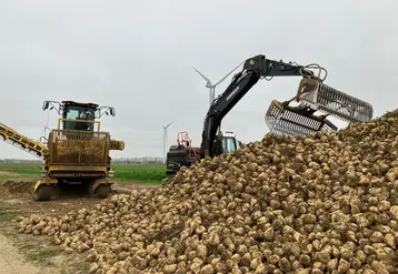 <em class="placeholder">Enlèvement d&#039;un silp de betterave par l&#039;industriel Saint Louis Sucre, département de la Somme, novembre 2024</em>