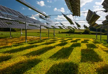 culture panneaux solaires agrivoltaïsme champs