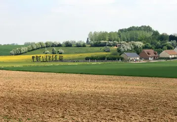 <em class="placeholder">Paysage rural de l&#039;Artois. Parcelles cultivées, haies d&#039;arbres. Maisons au bord des champs. habitat rural. habitations à proximité des parcelles agricoles. maison à ...</em>