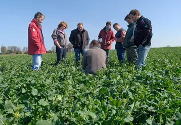 <em class="placeholder">Discussion technique entre un conseiller de chambre d&#039;agriculture et des agriculteurs dans un champ de colza. </em>