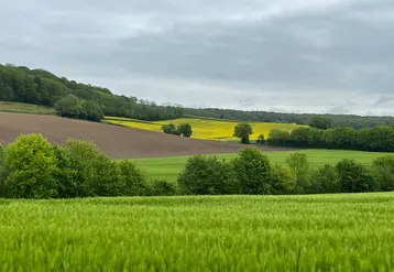 <em class="placeholder">Paysage avec diversité culturale.</em>