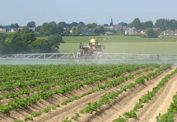 <em class="placeholder">Cultures / pommes de terre / traitement contre le mildiou / pulvÃ©risateur et rampe / application d&#039;un fongicide / produit phytosanitaire / utilisation de pesticides / au ...</em>