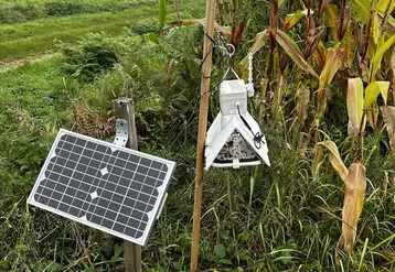 <em class="placeholder">piège connectés à pyrale avec caméra intégrée et panneau photovoltaïque</em>