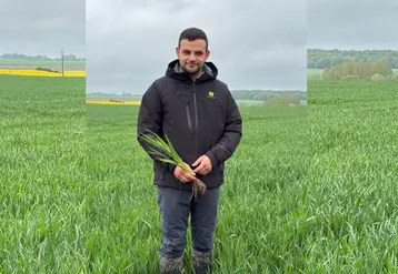 <em class="placeholder">Antoine Prévost, exploitant agricole à Foucherolles, dans son champ de blé au printemps 2025.</em>