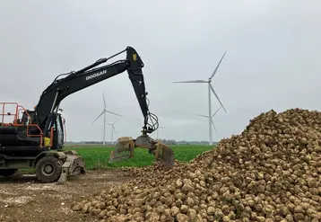<em class="placeholder">Les semis précoces de betterave présageait d&#039;une belle récolte mais le manque de pluie se fait sentir sur certains territoires.</em>