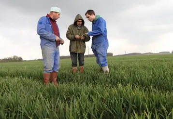 <em class="placeholder">Conseiller privé en traitement phytosanitaire, entouré d&#039;agriculteurs. </em>