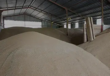 Silo à plat couvert sous hangar chez l'exploitant. 
