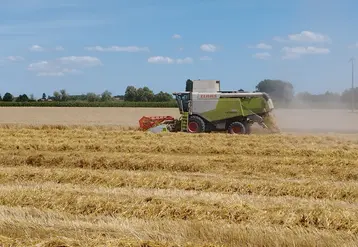 Moissonneuse batteuse en action dans une parcelle de blé tendre. Allier. 2024