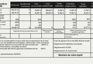 Exemple de taxe foncière sur propriété non bâtie