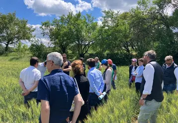 <em class="placeholder">Groupe d&#039;agriculteurs dans une parcelle de blé. </em>