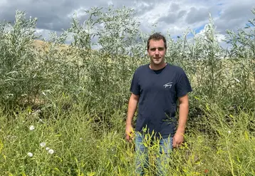 <em class="placeholder">Alexis Deville, agriculteur à Saulces-Champenoises (Ardennes)&quot;Contre la création de ravines, deux fascines vivantes (saules) de 25 mètres de long ont été mises en place ...</em>