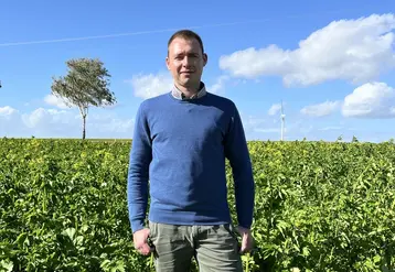 <em class="placeholder">Thomas Ployez, agriculteur à Champfleury (Aube),&quot;Depuis six ans que je sème toutes mes orges de printemps à l’automne, je n’ai pas connu de destruction par le gel.&quot;</em>