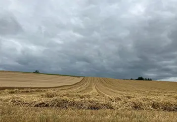 <em class="placeholder">Parcelle de blé à moitié récoltée avec un orage menaçant. </em>