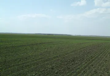 <em class="placeholder">Cultures dans les plaines d&#039;Ukraine.</em>