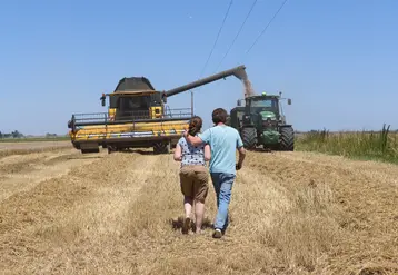 <em class="placeholder">Moisson dans l&#039;Indre près d&#039;Issoudun le 8 juillet 2022. Agriculteur et sa fille dans une parcelle de blé</em>