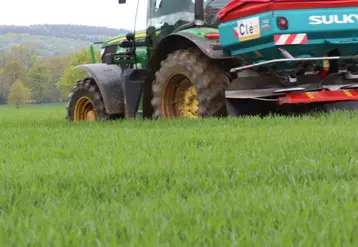 Epandeur d'engrais dans un champ de céréales