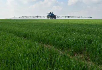 <em class="placeholder">avril 2002 - rinçage du pulvérisateur après application d'un mélange fongicide et raccourcisseur sur blé tendre</em>