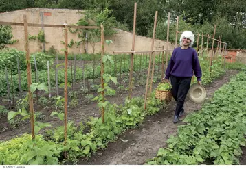 <em class="placeholder">jardin potager / cueillette, récolte des légumes / haricots, salades / jardinage</em>