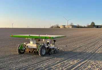 <em class="placeholder">Photo de robot désherbeur en betterave

</em>