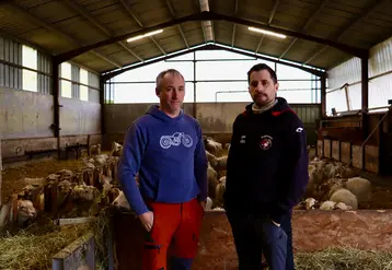 <em class="placeholder">Hervé Damestoy à gauche et Denis Damestoy à droite éleveurs de brebis à Mendionde (64), dans leur bergerie</em>