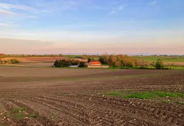 <em class="placeholder">Paysages avec des parcelles venant d'être semées.</em>