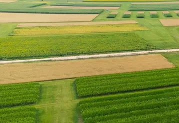 <em class="placeholder">site de recherche variétale du semencier Limagrain</em>