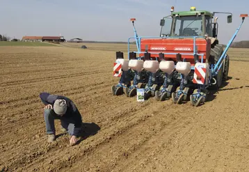 Agriculteur vérifiant son semis de betteraves à sucre.