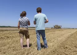 Moisson dans l' Indre près d' Issoudun le 8 juillet 2022. Agriculteur et sa fille dans une parcelle de blé