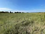 <em class="placeholder">Parcelle agricole en jachère à Villeneuve-d'Ascq dans le Nord, août 2026</em>