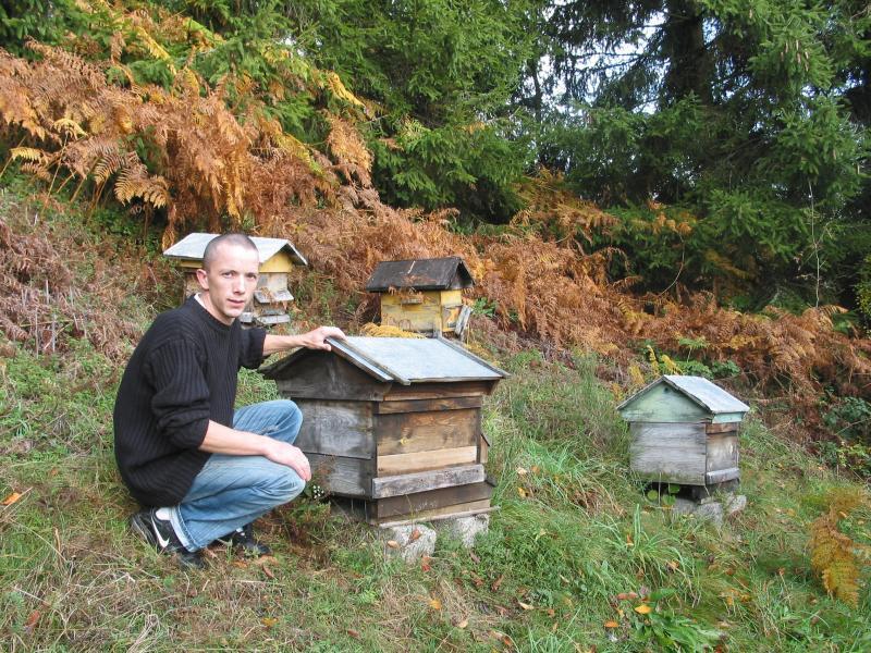 Haute-Loire. Production de miel : pour l'instant, les apiculteurs